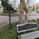 Bank auf einem Friedhof